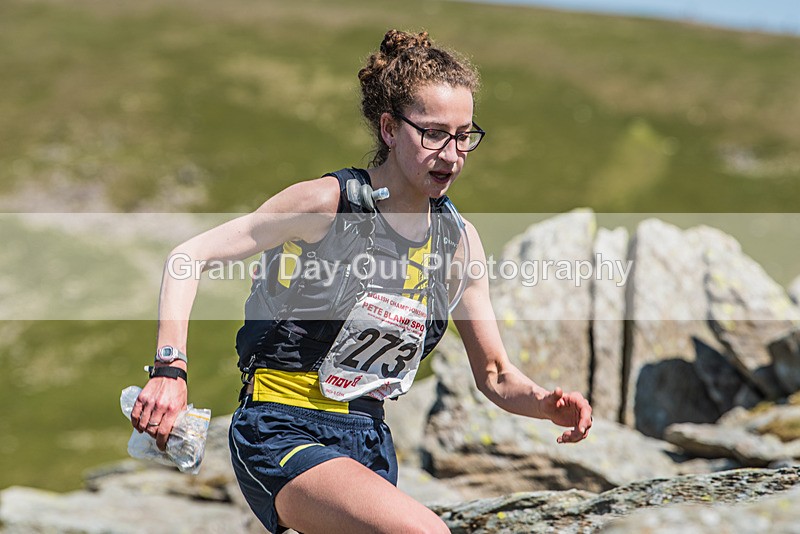 Duddon Long-250 - Duddon Valley (Long) Fell Race Saturday 3rd June 2023