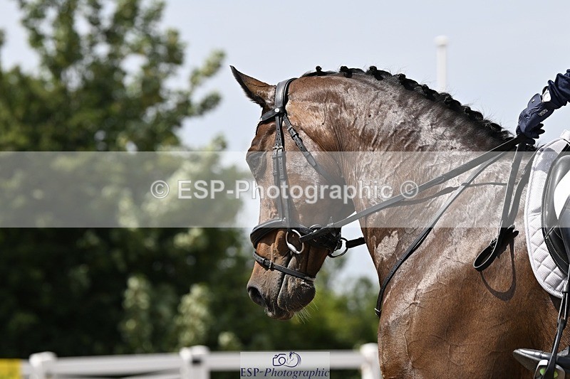 250621-144327-10717 - Cls 29 - Elementary 5, 14.10 to End