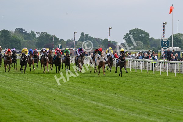160524-Race 2-Point Lynas-5396 - Race 2 2.45pm Oakmere Homes Hambleton Handicap