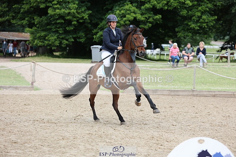 250614A-102355-05648 - Cls 26 British Novice and 90cm Open