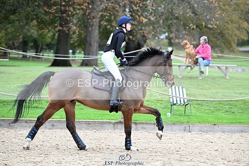 241116-113919-01065 - Cls 2 80-85cm 11.30 to End