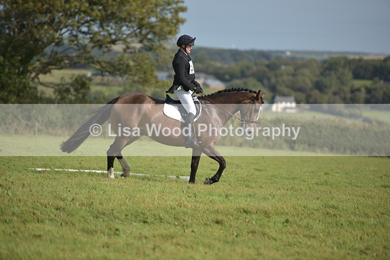 RAY_8065 - Class 2B: Trekenning Open: Dressage