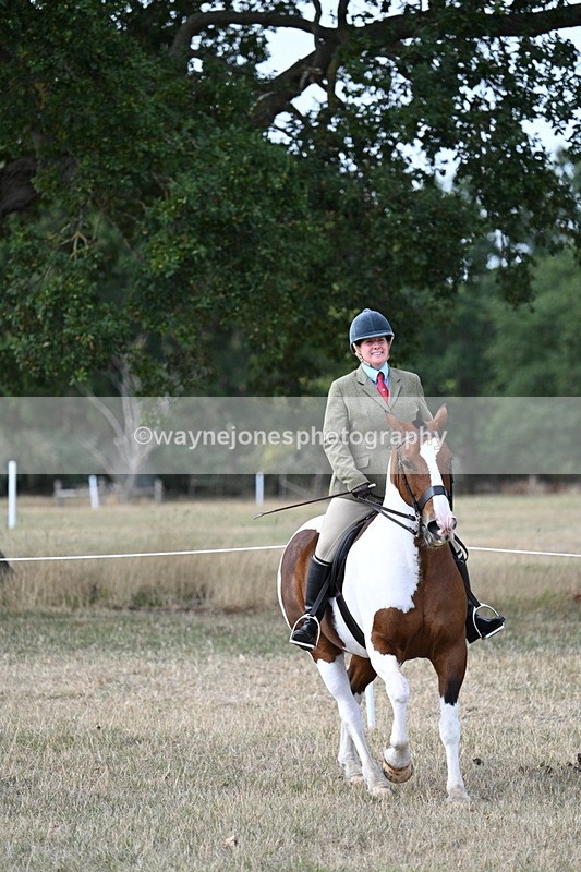 WJ7_7223 - Class 14 Ridden Coloured