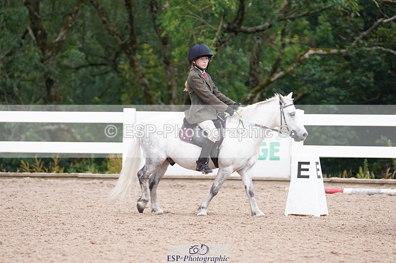 240809A-104626-00656 - Dressage Competition