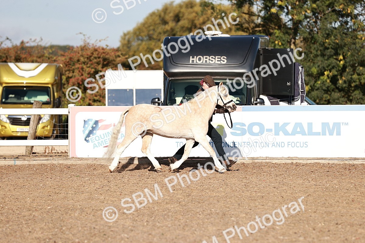 SBM_11372 - Class 402 - IH  Veteran pony