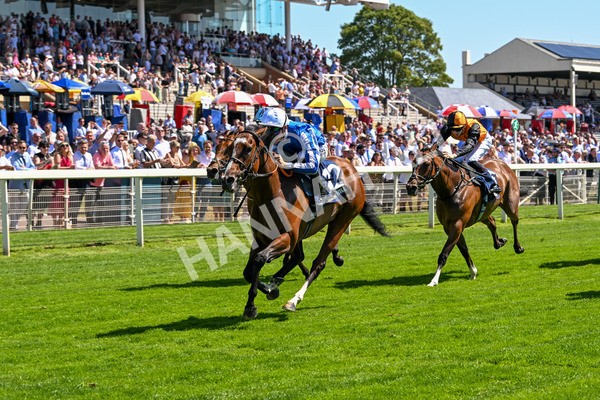 110725-Race 2-Sayidah Dariyan-4114 - Race 2 2.45pm William Hill Summer Stakes