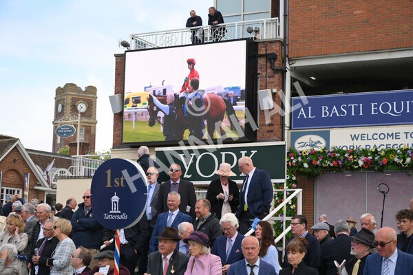 yr11052022r3-46 - Race 3 3.00pm 1895 Duke of York Clipper Logistics Stakes