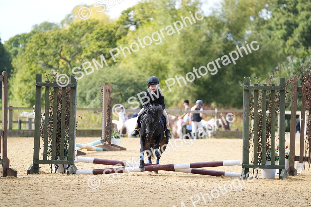 SBM_64416 - J2 - Mini Tour Junior Pony 30cm Championship