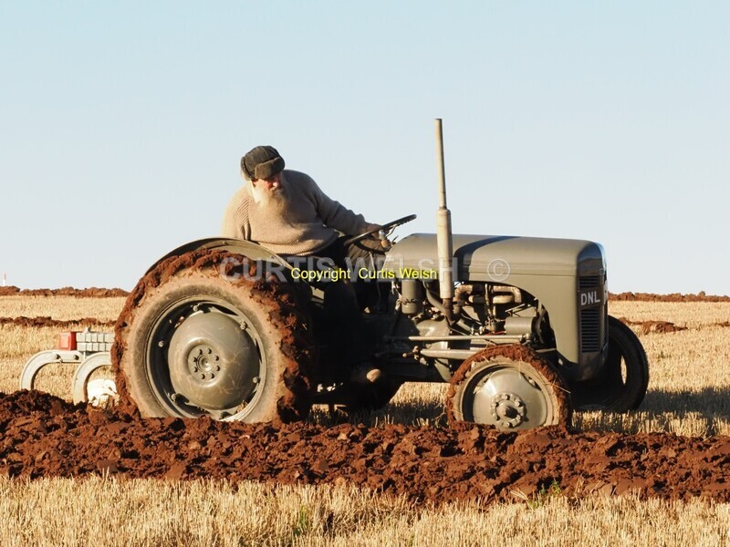 P1140252 - BVAA Ploughing Match