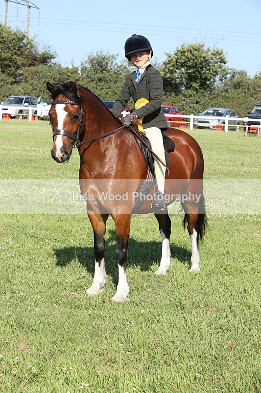 JPP_1203 - Class 17: Cornish Combination First Ridden