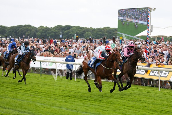 yr11062022r2-79 - Race 2 2.00pm Queen Mother's Cup