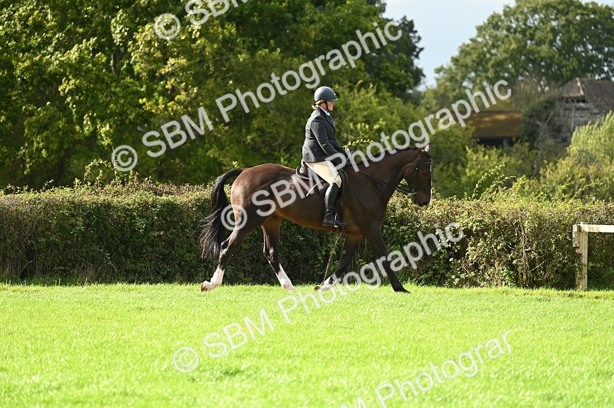 SBM_26303 - S6 - Novice & newcomer Ridden horse