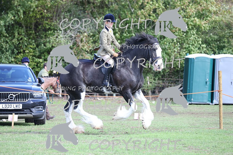 APP_3764 - Class 8 Ridden Class