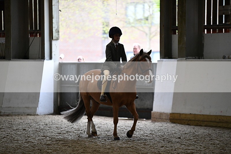 WJ5_6807 - Class 10 Childs Pony