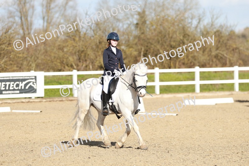 20260314-4529 - DR4 - Prelim 2