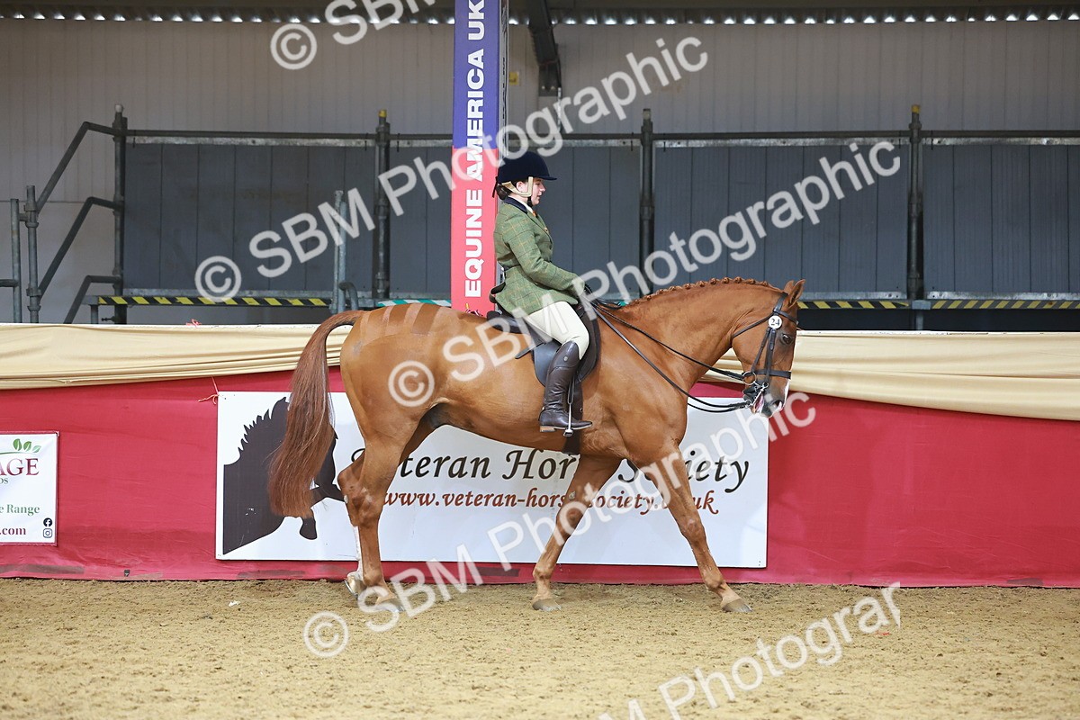 SBM_09593 - Class 102 - HOYS Veteran Qualifier - Ridden Veteran
