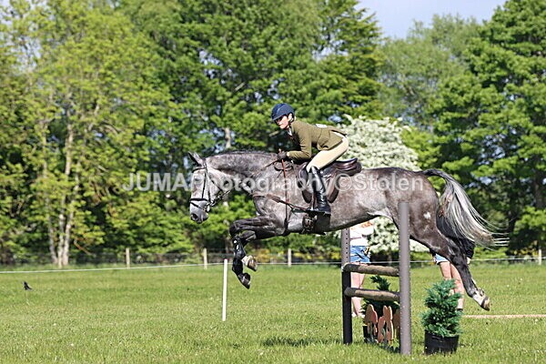 IMG_4854 - Working Hunter