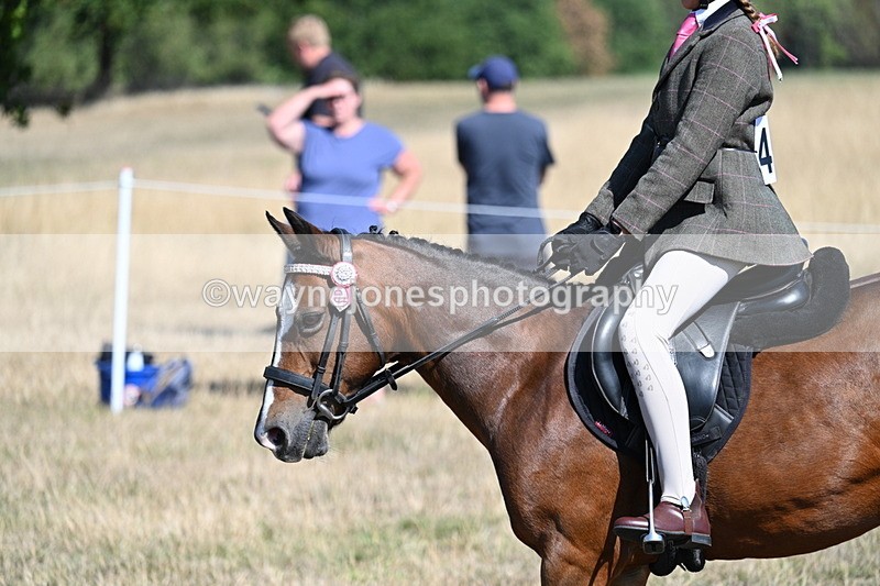 WJ7_4089 - Class 9 Mountain & Moorland Ridden