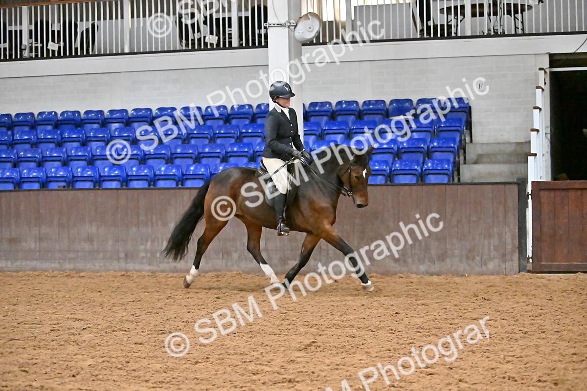 SBM_002951 - Class 37,38 - UKPSAF Performance Horse & Pony