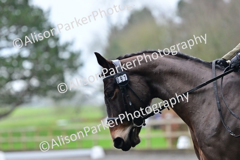 20260125-3838 - Class 12 - Novice