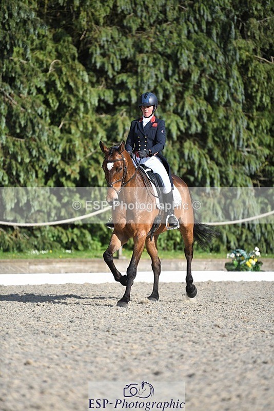 230525-175620-03636 - 132-OGUE_VERDI-Kitty_King-WEDTrotUp+DR