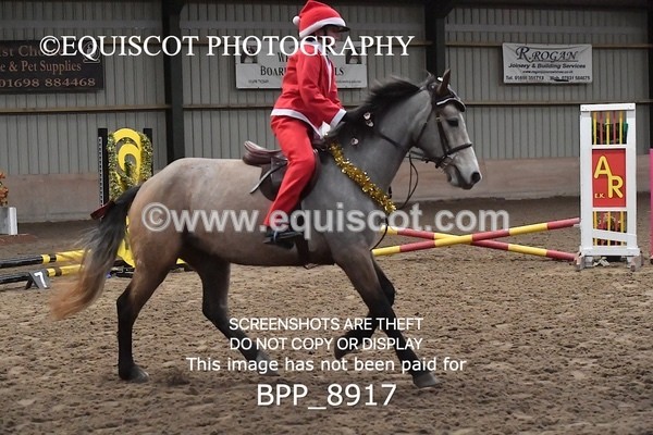 BPP_8917 - CLASS 1 Beginners Show Jumping