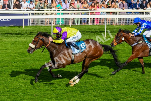 290723-Race 6-Dark Moon Rising-0959 - Race 6 5.10pm Betting Better With Sky Bet Handicap