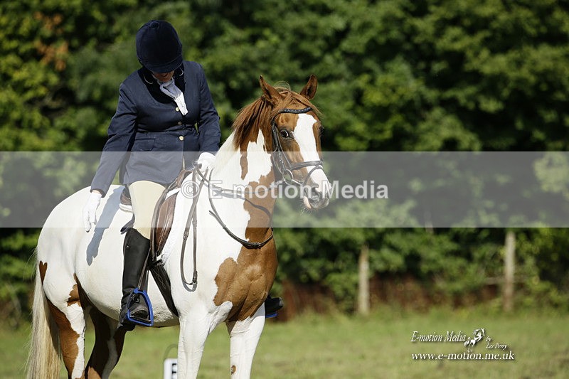 BVRC 120921 180 - Bourne Valley Riding Club UA Dressage & Show Jumping 12/09/21
