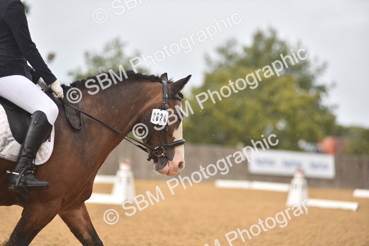 SBM_42523 - D22 - Junior Championship Intro 3