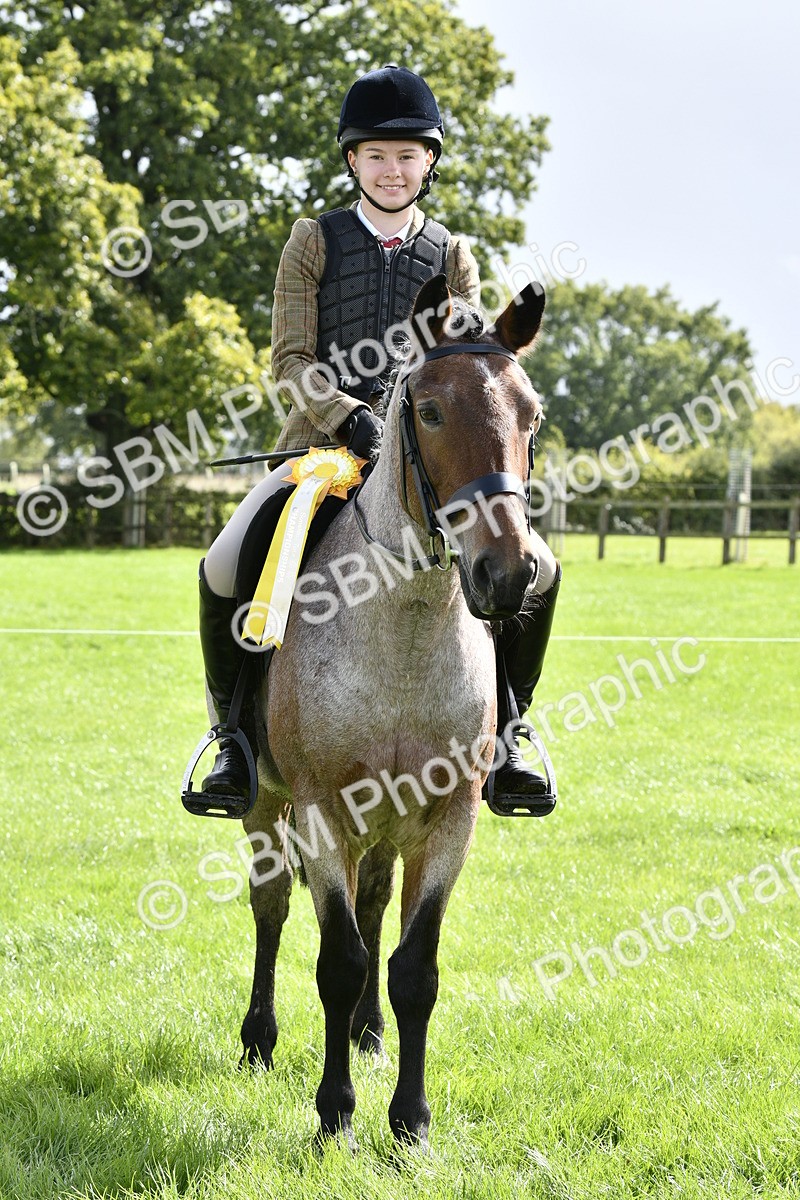 SBM_41671 - S32 - Mountain & Moorland Working Hunter Pony