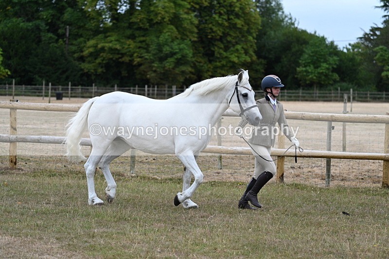 WJ7_8746 - Class 4a Prettiest Mare 14.2hh and over