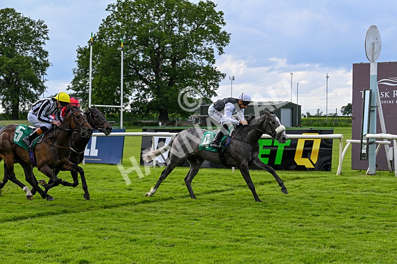 050626-Race 7-Daizen-3858 - Race 7 17.20pm Next Meeting Tuesday 16th June Featuring Royal Ascot Handicap