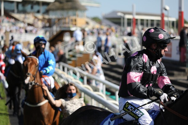  - Race 6 4.50pm The Ice Co supporting Macmillan Stakes