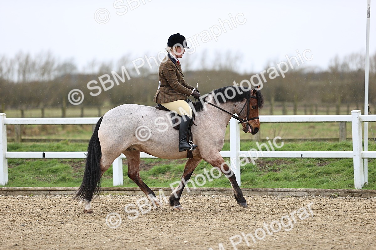 SBM_007490 - Class 31-32 - M&M Confined Novice Small-Large