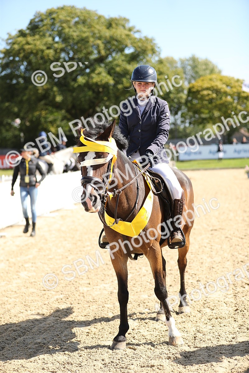 SBM_04783 - J28 - Senior Horse & Pony 60cm Championships