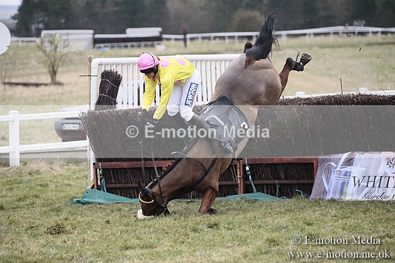 PtP 180218 277 - Combined Services Point-to-Point Larkhill 18/02/18