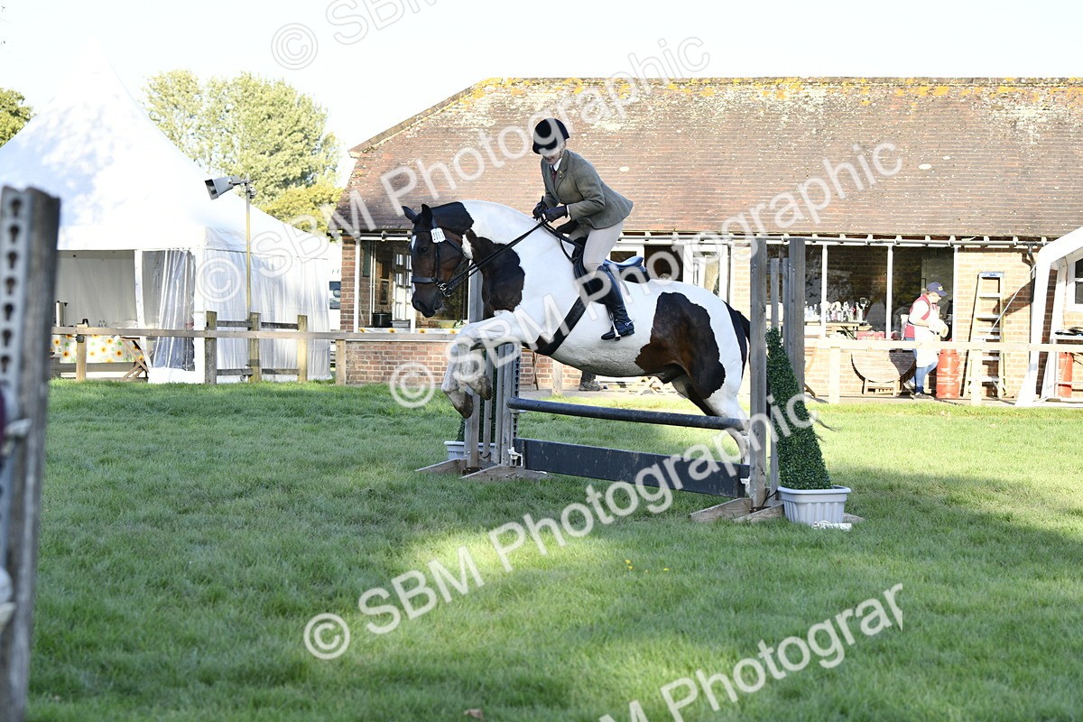 SBM_53560 - S14 - Riding Club Horse