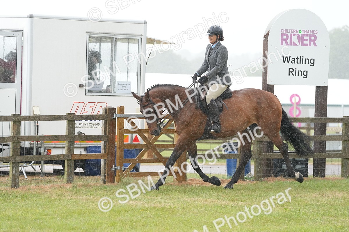 SBM_12667 - Class 97-98 - LIHS BSHA Rising Star Working Show Horse Hunter