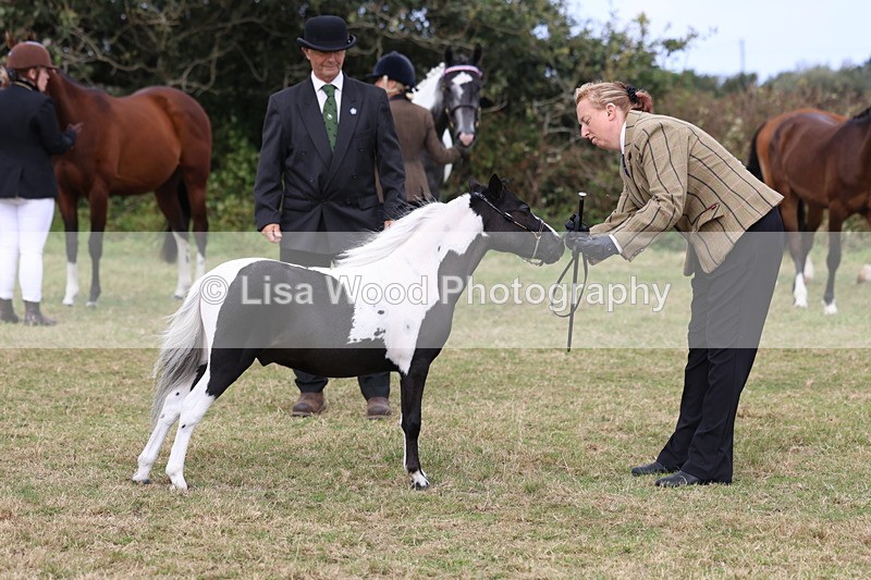 3E7A4214 - Class 15: Two Year Olds