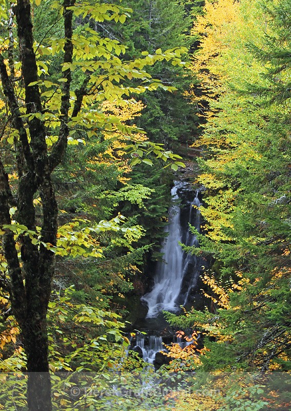 Dickson Falls Fundy National Park New Brunswick Canada - New Brunswick Landscape