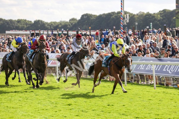 230824-Race 5-Canoodled-8505 - Race 5 4.10pm Assured Data Protection EBF Fillies' Handicap