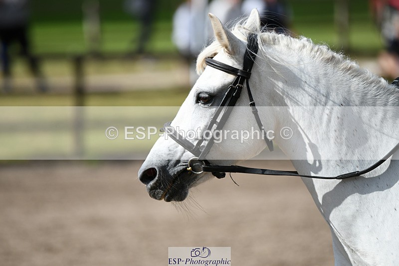 240825X-101128-30920 - 70cm SJ 9.15 to 10.21