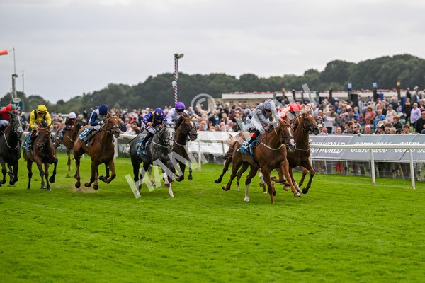 220824-Race 3-Thunder Run-7023 - Race 3 3.00pm Clipper Handicap