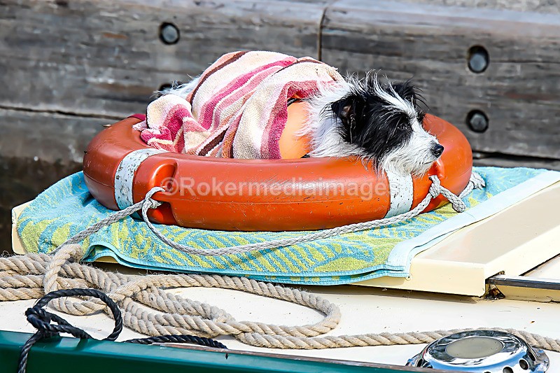  - Out N about in Henley