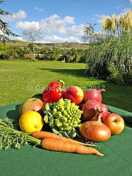 Harvest table 1 - Autumn