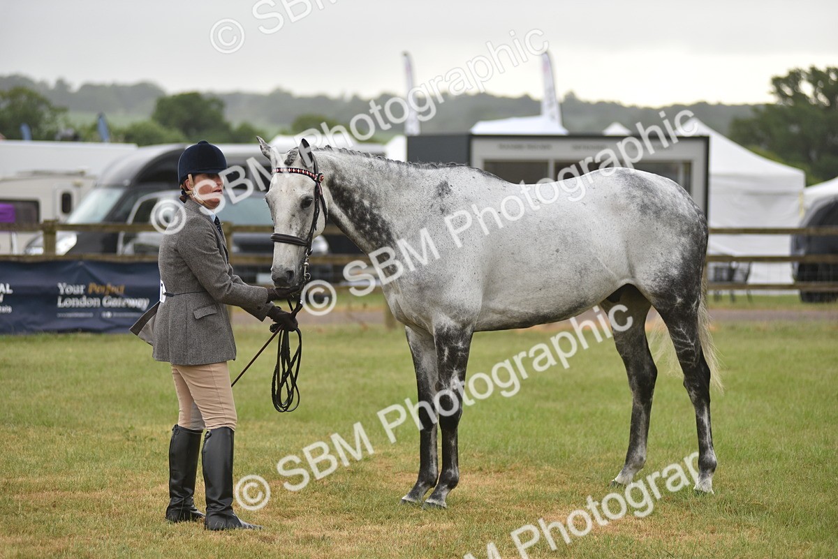 SBM_10666 - Class 109 - Retraining of Racehorses in Hand