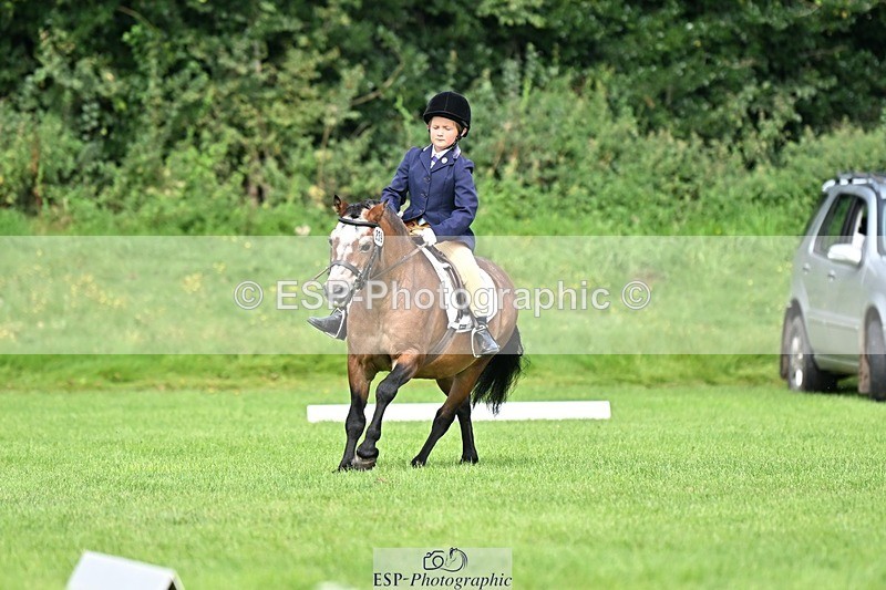 230826-103415-16577 - Sections A & B 10 to End