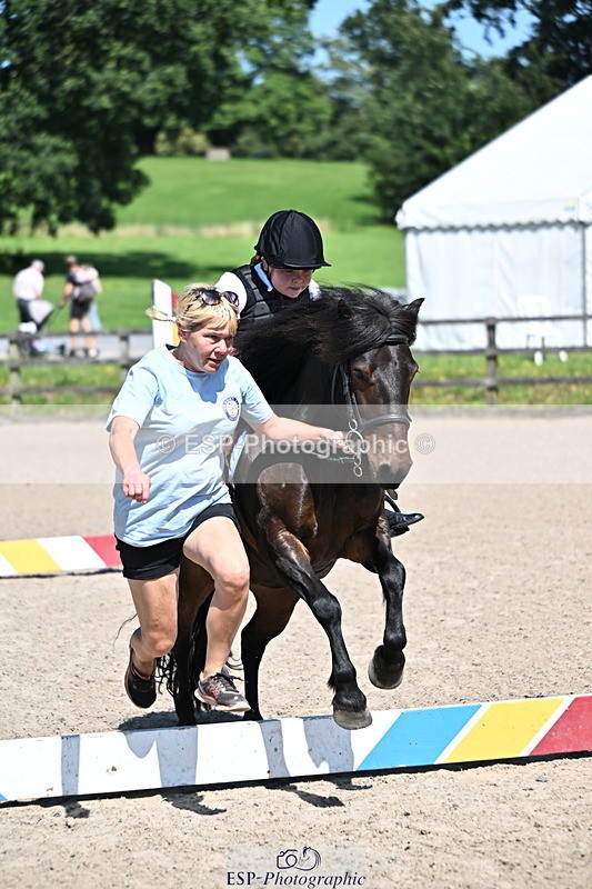 240729B-113229-02421 - Showjumping Competition