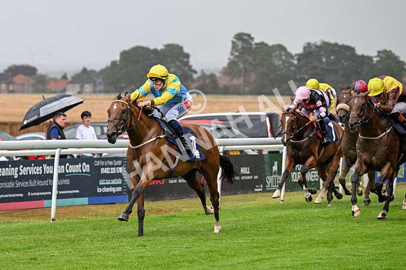 150725-Race 4-Without Flaw-0561 - Race 4