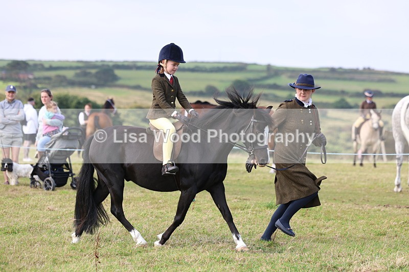 3E7A3434 - Class 2: Lead rein